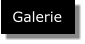 Galerie